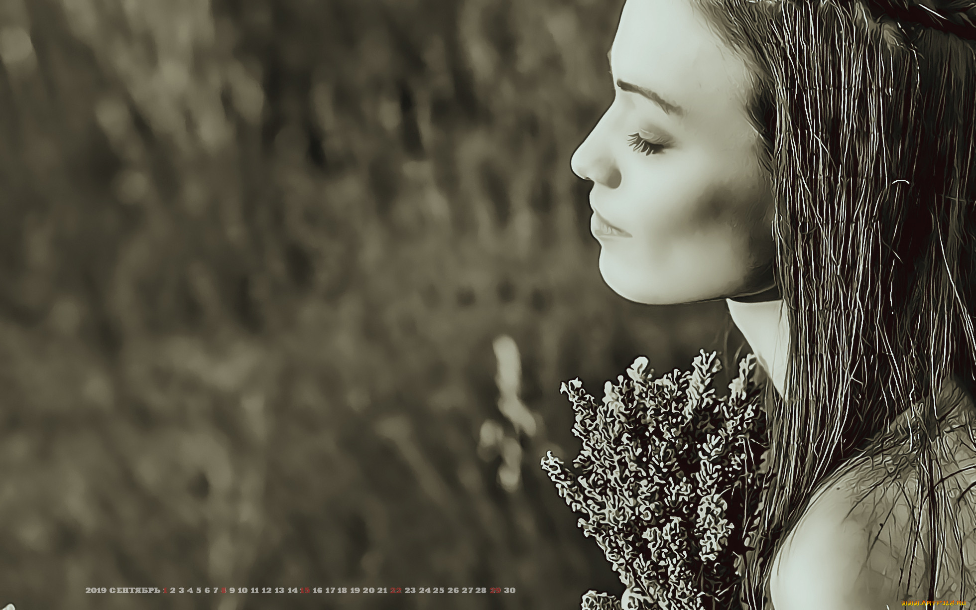 ,  , , , 2019, calendar, , , , 